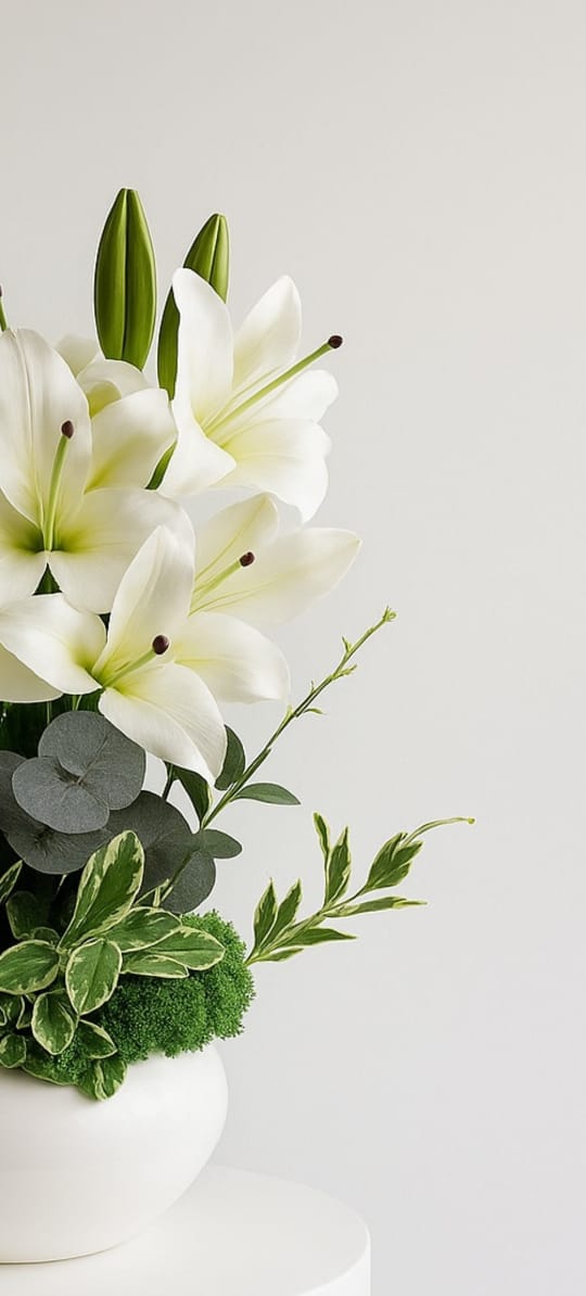 White Lily Elegance