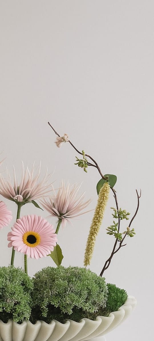 Gerbera Charm